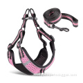 Dog Harness And Leash Dog Harnesses